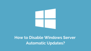 Disable Windows Server Automatic Updates