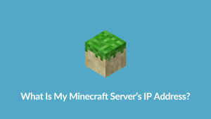 what is My Minecraft Server’s IP Address