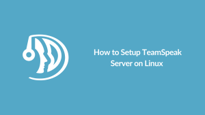 _TeamSpeak Server on Linux