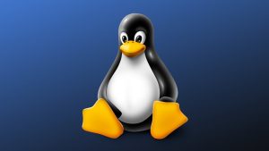Linux SSH Commands